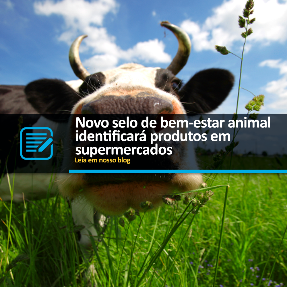Novo selo de bem-estar animal identificará produtos em supermercados