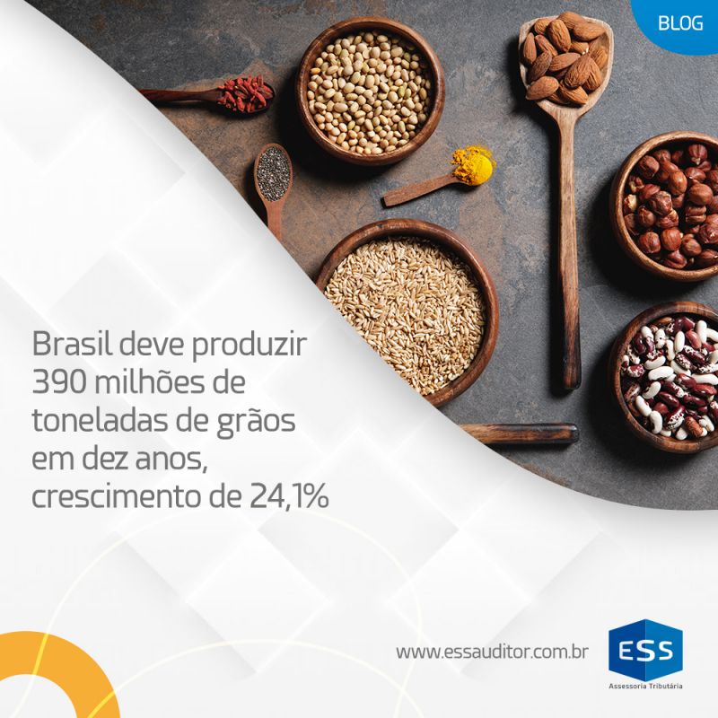 Brasil deve produzir 390 milhões de toneladas de grãos em dez anos, crescimento de 24,1%